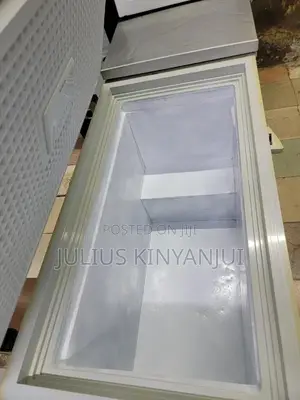 302L Bruhm Deep Freezer