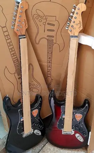 Fender Player Plus Stratocaster Electric Guitar 24 Flets