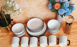 Ceramic Brand New 24pc Japanese Dinner Set