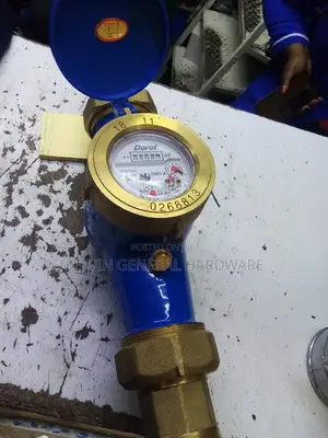 Dorot Water Meter 2inchs
