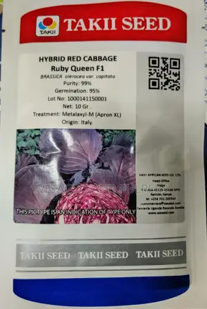 Cabbage Ruby Queen F1 Hybrid Seeds