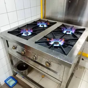 Commercial Stainless Steel High Pressure Gas Cooker(Custed)