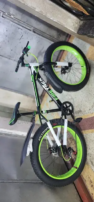 New Friretrex Bicycle