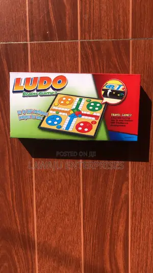 Small Ludo Brains Game