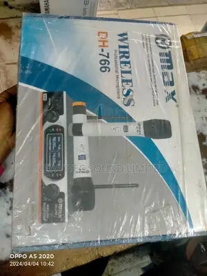 Max Professional Microphone