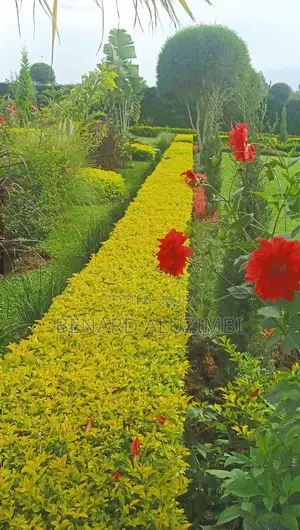 Garden Management