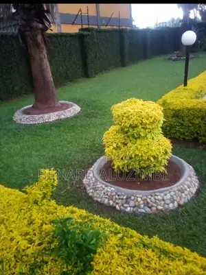Landscaping and Gardening