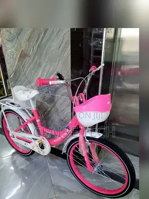 Lady Bird Size 20 Bike -Pink