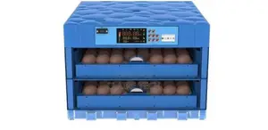 128 Ac/Dc Eggs Incubator