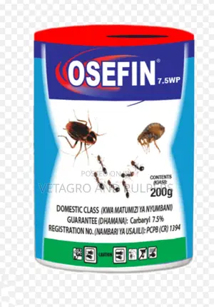Osefin Dudu Dust
