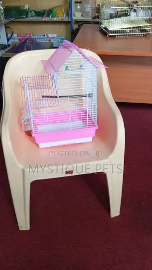 Loving Bird Cage