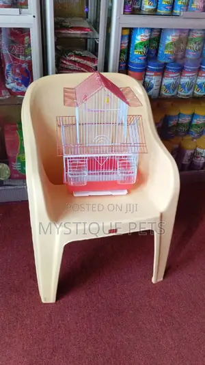 Budgies Cage