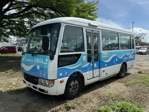 Mitsubishi Fuso Rosa 2017 White