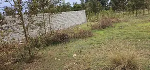 Prime Plots for Sale in Segero Kipkenyo