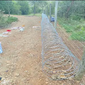 Razor Wire 450mm