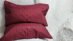 A Pair (2) Quality Pillow Protector
