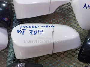 Side Mirror Covers Passo New Shape