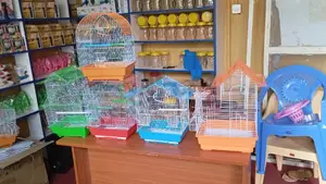 Ornamental -Birds