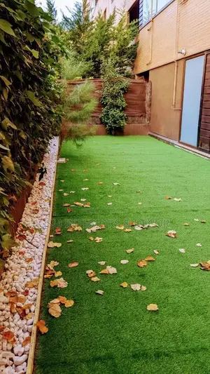 Grass Carpets Grass Carpets Grass Carpets Grass Carpets