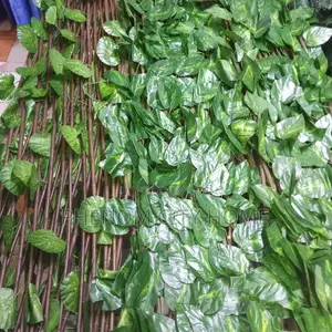 Expandable Artificial Green Fence
