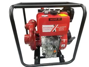 Windsor Brand Water Pump Available