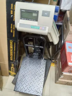 A12 Digital Weighing Scale