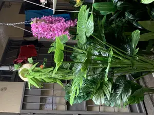 Hanging Plants Available