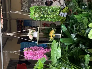 Hanging Plants Available