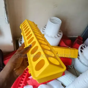 Yellow Chicken Feeding Troughs