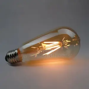 Decorative Lights/Filament Bulbs/Edison Bulbs