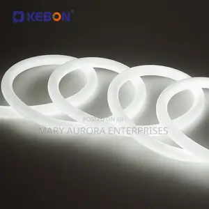 Neon Snakelight/Swimming Pool Snakelight