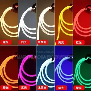 Neon Snakelight/Swimming Pool Snakelight
