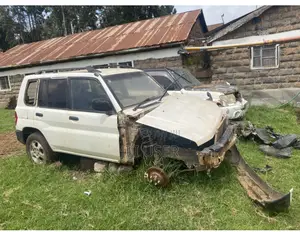 Mitsubishi Pajero Io