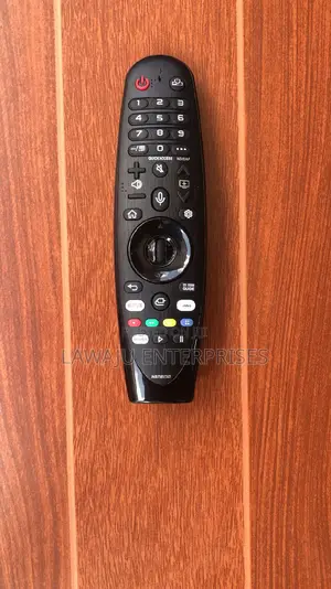 LG Smart Magic Remote