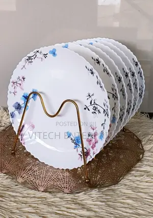 Beautiful 6pcs Ceramic Dinner Plates