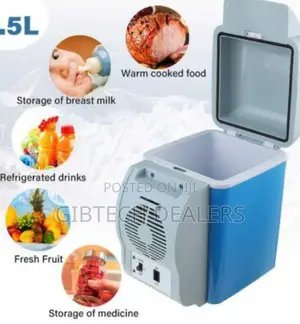 Affordable Car Fridge