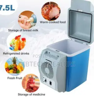 High Quality Car Fridge