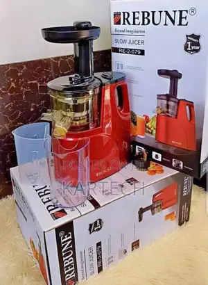 Rebune Slow Juicer 079