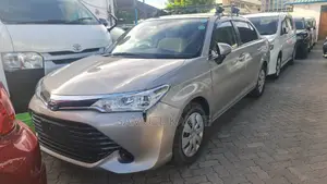 Toyota Axio 2017 Gold