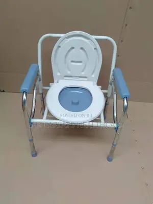 Commode Chair (Easy Carrier.)