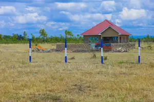 Prime Plots in Jujafarm ^KK