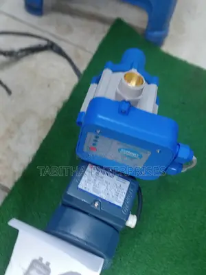 Pedrollo Water Pump+ Automatic Pressure Control