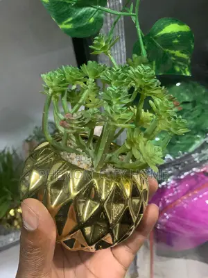 Decorative Table Top Artificial Plants