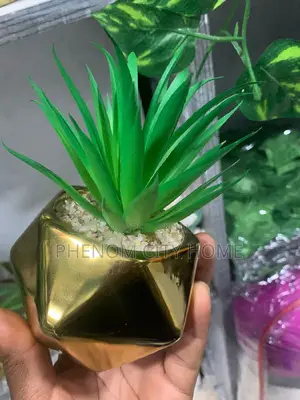 Decorative Table Top Artificial Plants