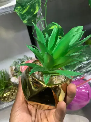 Decorative Table Top Artificial Plants