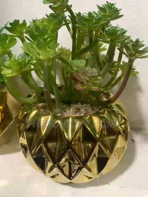 Decorative Table Top Artificial Plants