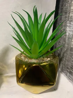 Decorative Table Top Artificial Plants