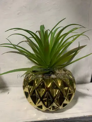 Decorative Table Top Artificial Plants