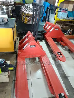 Industrial Hand Pallet Truck/ Trolley