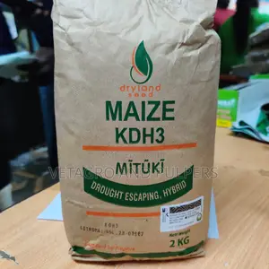 Maize KDH3 Mituki Seeds